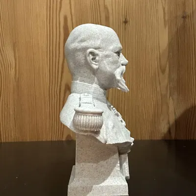 Tượng bán thân Charles-Marie-Étienne Champion Dubois de Nansouty