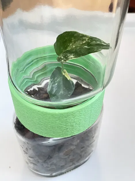 Khớp nối hũ thủy tinh Nutella - Nhà kính mini - Lưu trữ - Image 2