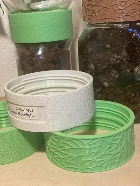 Khớp nối hũ thủy tinh Nutella - Nhà kính mini - Lưu trữ - Image 3