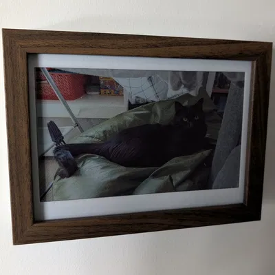 Khung ảnh kỹ thuật số E-ink