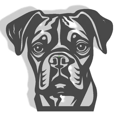 Mô hình trang trí tường hình chó Boxer độc đáo