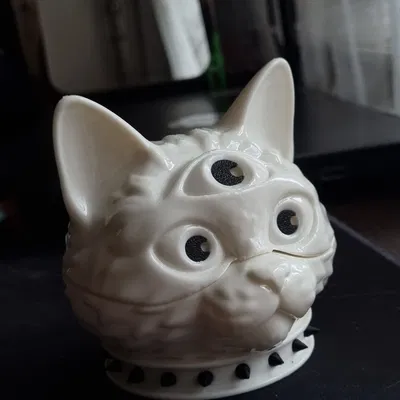 Hộp đựng mini "Cat's Insight"