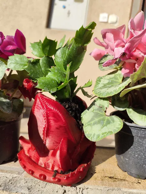 Doze Draco - Chậu cây hình rồng nằm thư giãn - Image 5