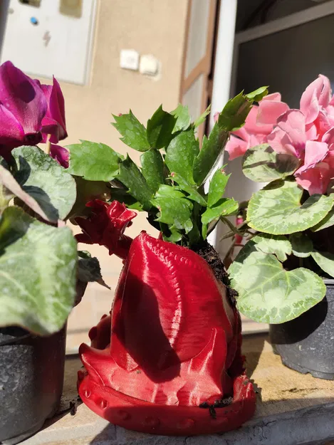 Doze Draco - Chậu cây hình rồng nằm thư giãn - Image 6