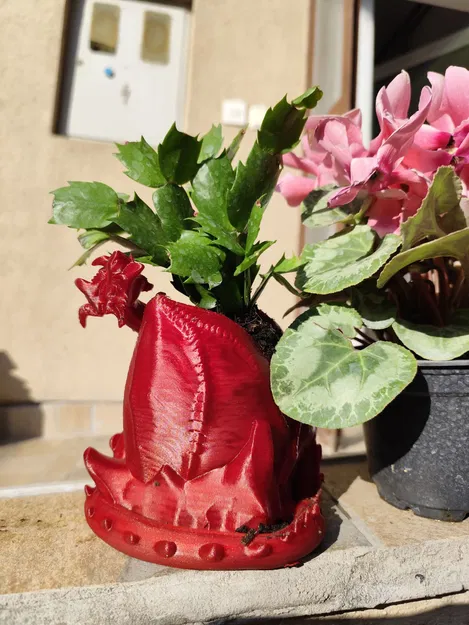 Doze Draco - Chậu cây hình rồng nằm thư giãn - Image 7