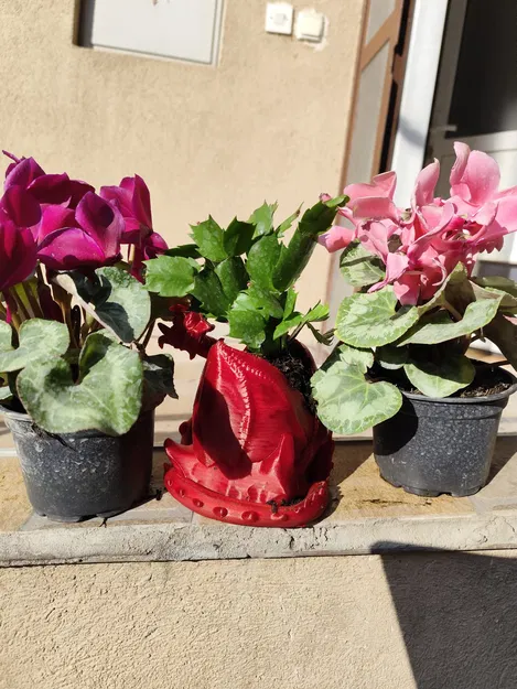 Doze Draco - Chậu cây hình rồng nằm thư giãn - Image 10