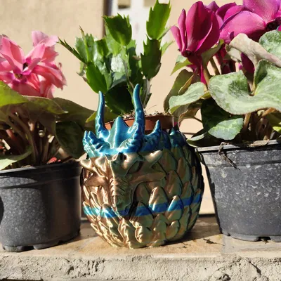 Chậu cây Aegis Wyrm - Thiết kế hình trứng rồng ấn tượng