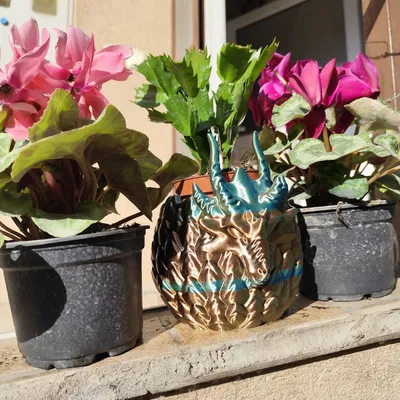 Chậu cây Aegis Wyrm - Thiết kế hình trứng rồng ấn tượng