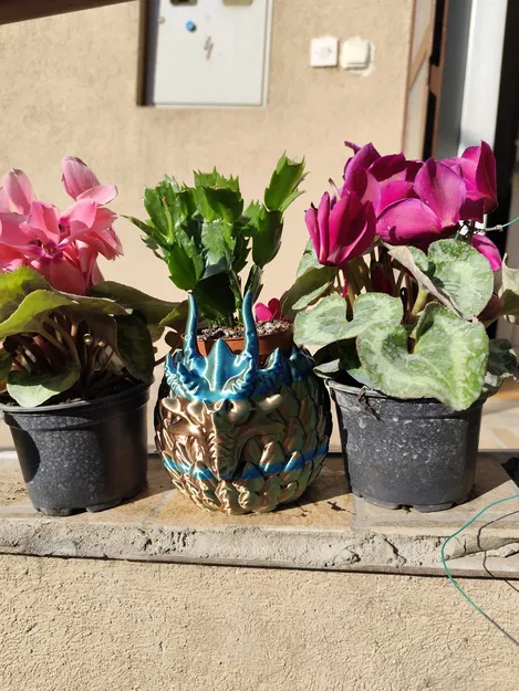 Chậu cây Aegis Wyrm - Thiết kế hình trứng rồng ấn tượng - Image 5