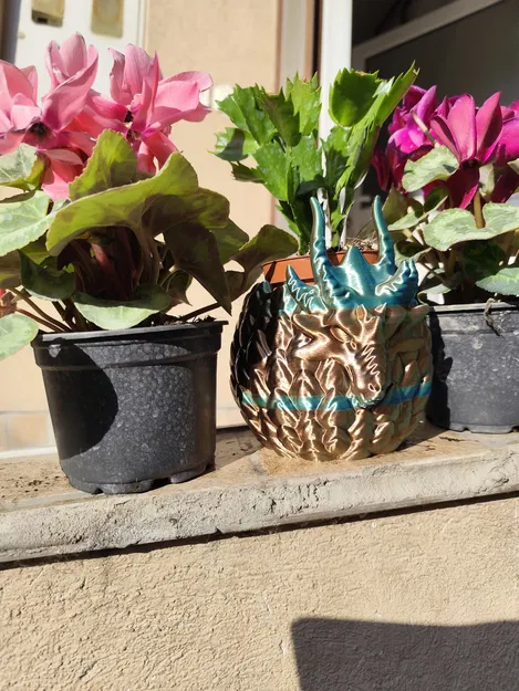 Chậu cây Aegis Wyrm - Thiết kế hình trứng rồng ấn tượng - Image 6