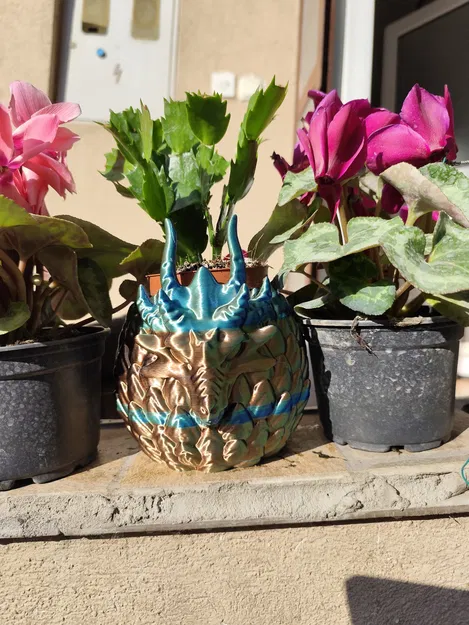 Chậu cây Aegis Wyrm - Thiết kế hình trứng rồng ấn tượng - Image 11