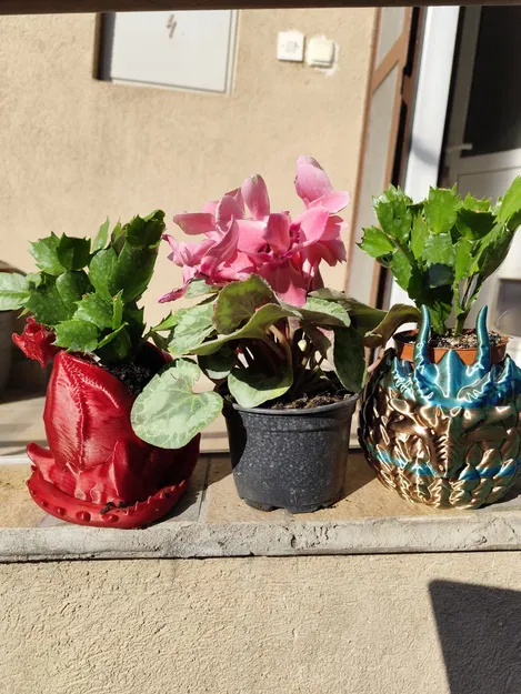 Chậu cây Aegis Wyrm - Thiết kế hình trứng rồng ấn tượng - Image 12