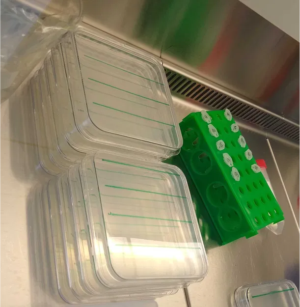 Bộ khuôn kẻ dòng gieo hạt cho đĩa Petri vuông (120 x 120 mm) - Image 4