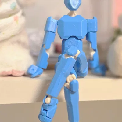 Mô hình khớp nối linh hoạt Proto 9 (Dummy 13 remix) - Tự in 3D