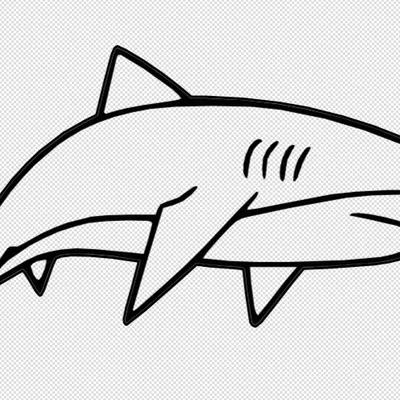 Mô hình cá mập Shark Stensle in 3D độc đáo trang trí tường