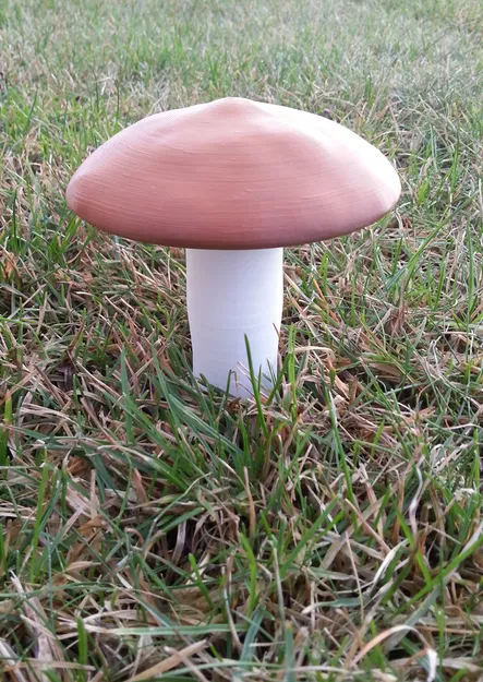 Hộp đựng hình cây nấm - Image 1