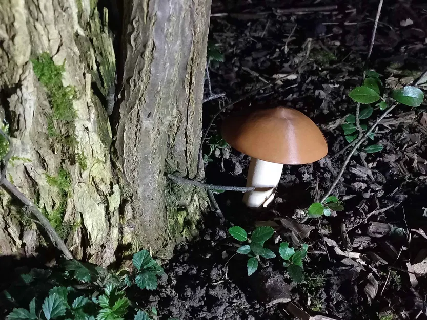 Mushroom Cache (fusion360) - Hộp giấu đồ hình nấm - Image 1