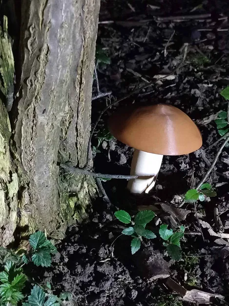 Mushroom Cache (fusion360) - Hộp giấu đồ hình nấm - Image 2