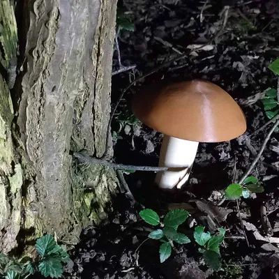 Mushroom Cache (fusion360) - Hộp giấu đồ hình nấm