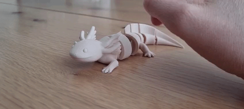 Mô hình Axolotl cử động linh hoạt in một lần (Print-in-place) - Thumbnail 1