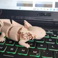 Mô hình Axolotl cử động linh hoạt in một lần (Print-in-place) - Thumbnail 2