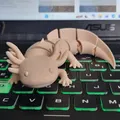 Mô hình Axolotl cử động linh hoạt in một lần (Print-in-place) - Thumbnail 3