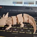 Mô hình Axolotl cử động linh hoạt in một lần (Print-in-place) - Thumbnail 4