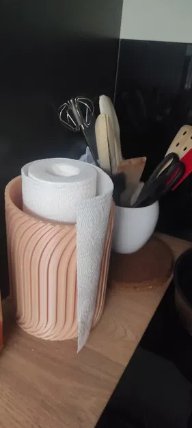 Giá đựng giấy lau tay 3D in 3D thiết kế xoắn ốc hiện đại - Image 2