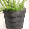 Chậu Cây Low Poly Hiện Đại (Cho Phép Thương Mại) - Thumbnail 1