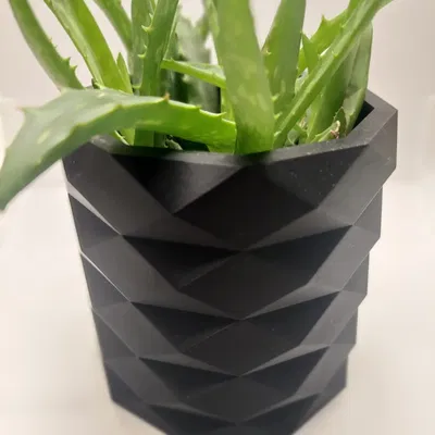 Chậu Cây Low Poly Hiện Đại (Cho Phép Thương Mại)