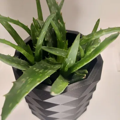 Chậu Cây Low Poly Hiện Đại (Cho Phép Thương Mại)