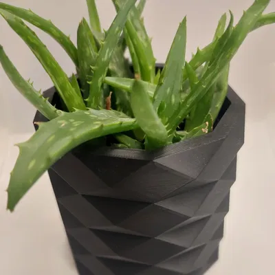 Chậu Cây Low Poly Hiện Đại (Cho Phép Thương Mại)