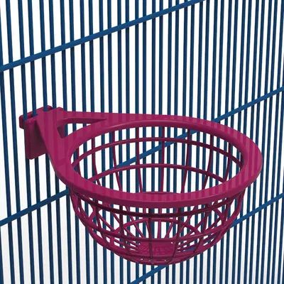 Tổ Chim (Birds Nest)