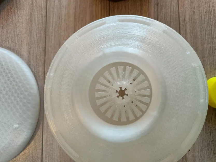 Hexa-Vespa: Bẫy Ong Bắp Cày Châu Á (Vespa Velutina) Chọn Lọc - Chuyên nghiệp - Image 17