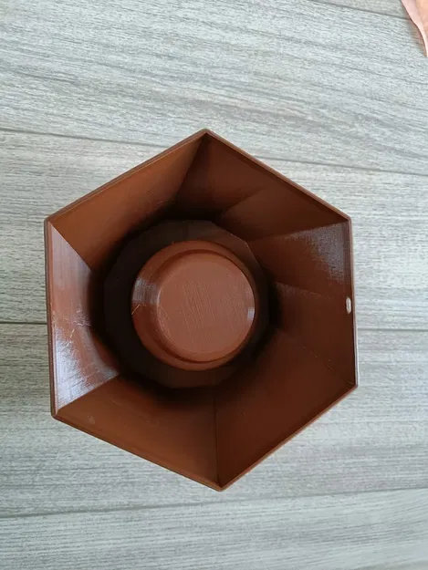 Hexa-Vespa: Bẫy Ong Bắp Cày Châu Á (Vespa Velutina) Chọn Lọc - Chuyên nghiệp - Image 23