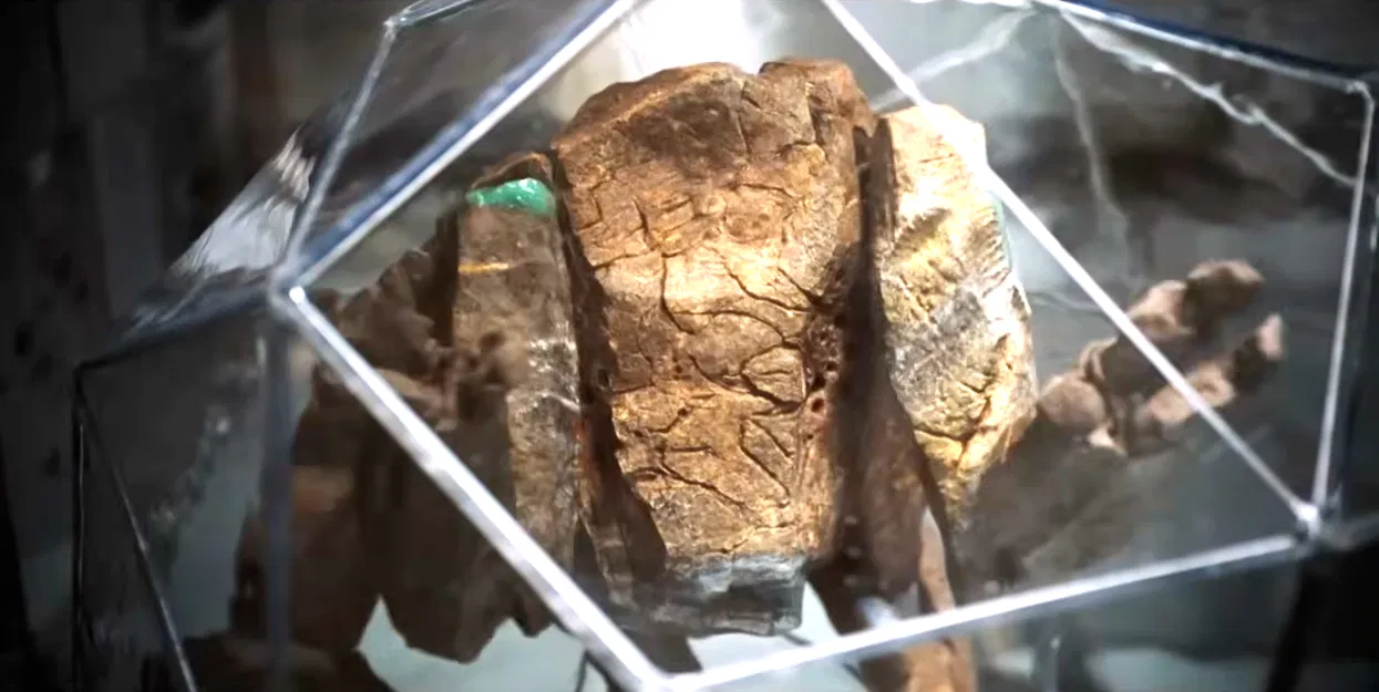 Mô hình Rocky từ Project Hail Mary (phiên bản phim) - Image 8