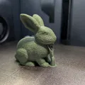 Chú thỏ Phục sinh phong cách rêu (Moss Easter bunny) - Thumbnail 2