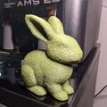 Chú thỏ Phục sinh phong cách rêu (Moss Easter bunny) - Thumbnail 5