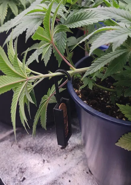 The Penny Trainer – Dụng cụ hỗ trợ huấn luyện cây LST có thể điều chỉnh - Image 1