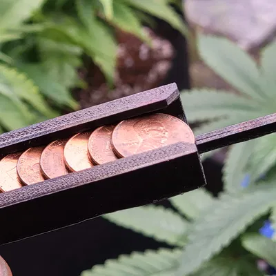 The Penny Trainer – Dụng cụ hỗ trợ huấn luyện cây LST có thể điều chỉnh