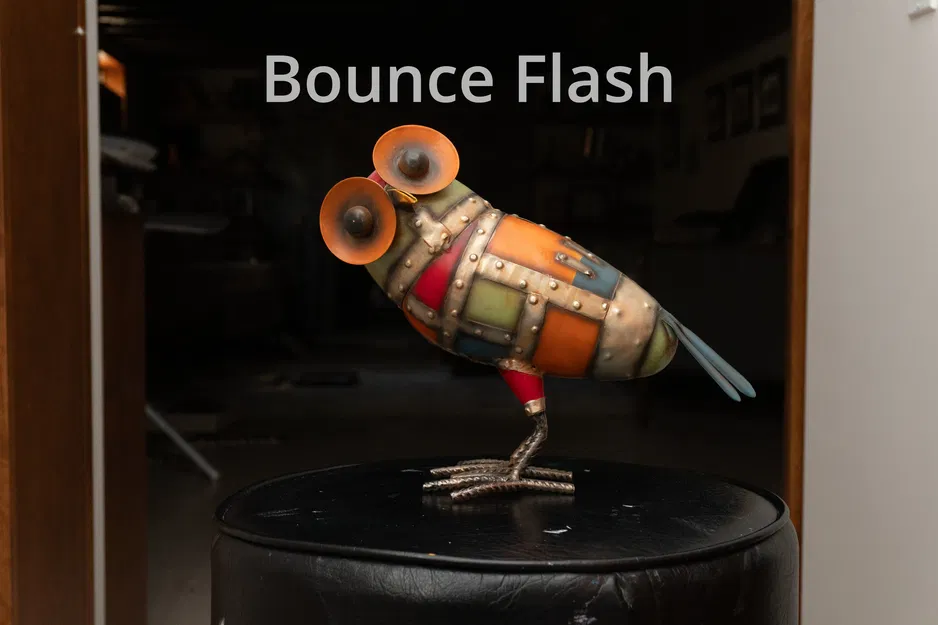 Bộ tản sáng Bounce Flash cho Sony A6000/A6500 - Image 2