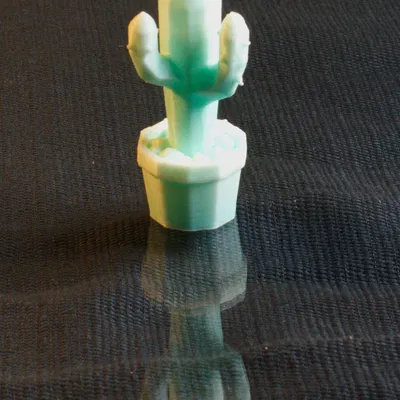 Mô hình Cây Xương Rồng Sa Mạc