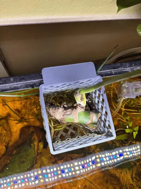 Giỏ trồng cây treo thành bể 18mm - Không cần support - Image 3