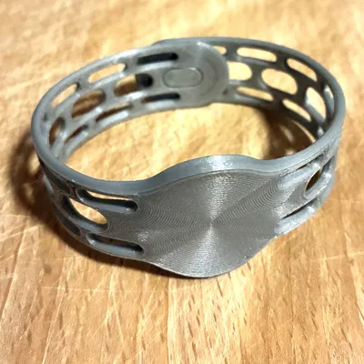 Vòng đeo tay chứa thẻ RFID (RFID Tag Wrist Band)