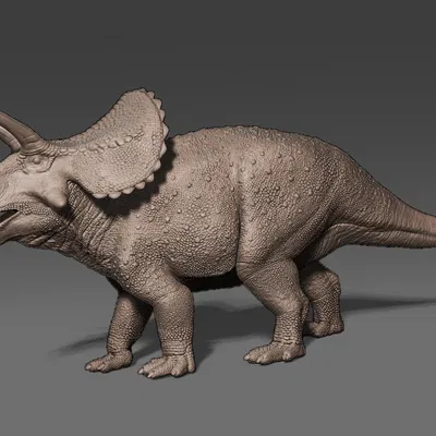 Mô hình Eotriceratops Figurine