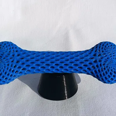 Đồ chơi cho chó: Xương và bóng cấu trúc Voronoi in 3D bằng nhựa TPU