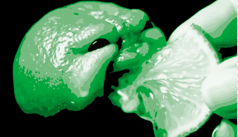 Mô hình quả chanh biết ăn (ai neich fruit lemon) vui nhộn - Image 3