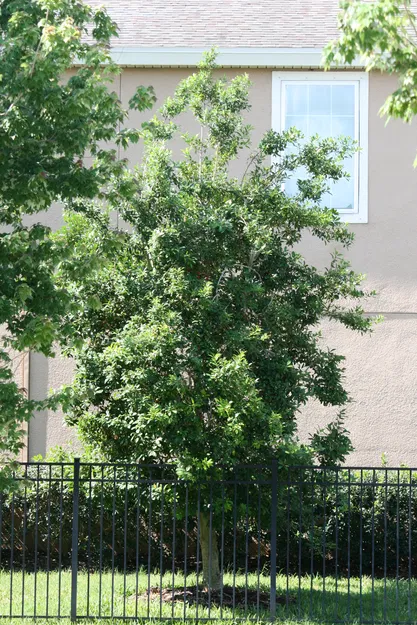 Khối mô hình cơ bản đa năng - File in 3D tiện dụng cho mọi dự án - Image 1