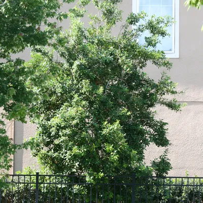 Khối mô hình cơ bản đa năng - File in 3D tiện dụng cho mọi dự án