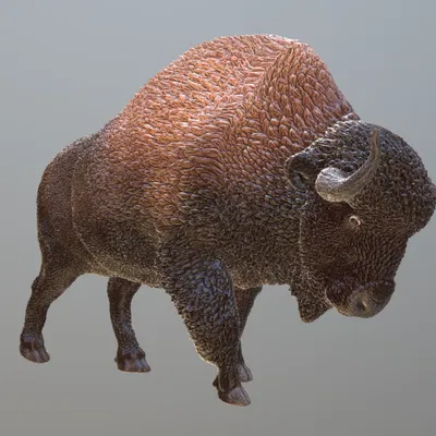 Mô hình 3D Bò rừng Thảo nguyên (Steppe Bison) phiên bản chi tiết